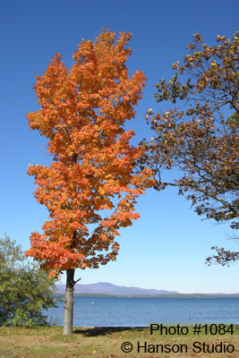 Gilford, NH - Ellacoya State Park - Fall